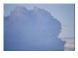 Sandhill Cranes Fly Through Thunderheads by Joel Sartore Limited Edition Print