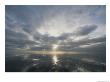 Sun Reflection Over Water, Wattenmeer National Park by Norbert Rosing Limited Edition Print
