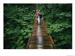 Two Children Walk Along A Wooden Walkway In The Rain by Karen Kasmauski Limited Edition Print