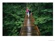 Two Children Walk Along A Wooden Walkway In The Rain by Karen Kasmauski Limited Edition Pricing Art Print