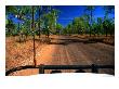 Kalumburu Road, Kimberley, Australia by Peter Ptschelinzew Limited Edition Pricing Art Print
