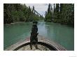 A Black Labrador Dog Travels Up The Kenai River On A Boats Bow by Joel Sartore Limited Edition Print