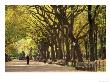 People Walking Through Central Park In Autumn, Nyc by Walter Bibikow Limited Edition Print