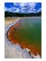 Boiling Thermal Waters Of Champagne Pool, Waiotapu, Bay Of Plenty, New Zealand by Gareth Mccormack Limited Edition Print