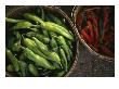 Green Chile Roasting Stands Along Federal Boulevard, Denver, Colorado by Michael S. Lewis Limited Edition Print
