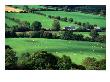 The Fields And Farmhouses Of County Cork, Ireland by Doug Mckinlay Limited Edition Print