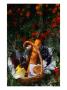 Picnic Basket (Wine, Bread & Cheese) In Bed Of Flowers, Western Australia, Australia by John Hay Limited Edition Print