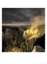 Yellowstone National Park, Wy by Chip Henderson Limited Edition Print