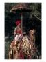 Man On Decorated Camel, Jaipur, India by Dave Bartruff Limited Edition Print