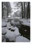 Winter Scene Of Creek With Snow-Covered Banks by Mattias Klum Limited Edition Pricing Art Print
