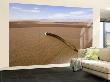 Gemsbok / Oryx Horn On Dune, Kaokoveld, Namib Desert by Adrian Bailey Limited Edition Print