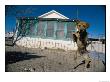 A Dog Poses For His Portrait Outside A Home In Mentone by Jodi Cobb Limited Edition Print