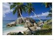 A Beach And Palm Trees On La Digue Island by Bill Curtsinger Limited Edition Print