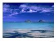 Shadow Of Palm Trees On Lanikai Beach, Oahu, Hi by Tomas Del Amo Limited Edition Print