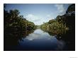 View Of A Rain Forest River by Mattias Klum Limited Edition Pricing Art Print