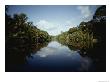 View Of A Rain Forest River by Mattias Klum Limited Edition Print