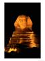 The Great Sphinx Illuminated At Night by Richard Nowitz Limited Edition Pricing Art Print