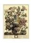 October by Robert Furber Limited Edition Print
