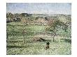 Prairies De Bazincourt, Automne by Camille Pissarro Limited Edition Print