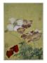 Album Of Flower Paintings by Yun Shou-P'ing Limited Edition Pricing Art Print