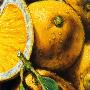 Lemons by Alma'ch Limited Edition Print