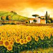Valley Of Sunflowers by Richard Leblanc Limited Edition Print