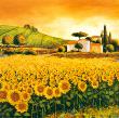 Valley Of Sunflowers by Richard Leblanc Limited Edition Pricing Art Print