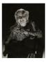 Vanity Fair - May 1933 by Edward Steichen Limited Edition Print