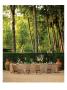 Alexandre Bailhache Pricing Limited Edition Prints