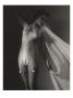 Vogue - March 1938 by Toni Frissell Limited Edition Pricing Art Print