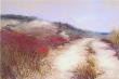 Dunes, Ocean View by Lois Gold Limited Edition Print