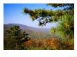 Pine Tree And Forested Ridges Of The Blue Ridge Mountains by Raymond Gehman Limited Edition Pricing Art Print