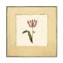 Tulip Ii by Yuna Limited Edition Print