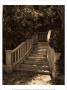 Garden Staircase by Alicia Soave Limited Edition Print