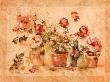 Potted Roses I by Cheri Blum Limited Edition Pricing Art Print