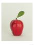 Apple With Leaf by Doug Mazell Limited Edition Pricing Art Print