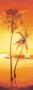 Acapulco by Leon Wells Limited Edition Pricing Art Print