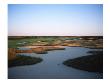 Nantucket Golf Club, Hole 15 by Stephen Szurlej Limited Edition Print