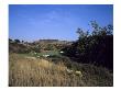 Shady Canyon Golf Course, Hole 8 by Stephen Szurlej Limited Edition Pricing Art Print