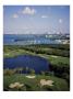 Crandon Park Golf by Stephen Szurlej Limited Edition Print