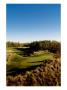 Tobacco Road Golf Course by Stephen Szurlej Limited Edition Print