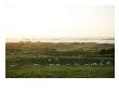 Royal Portrush Golf Club by Stephen Szurlej Limited Edition Print