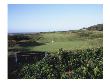 Royal Portrush Golf Club, Fairway by Stephen Szurlej Limited Edition Print