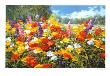 Landscape With Flowers I by Gerhard Nesvadba Limited Edition Print