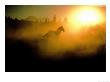 Horse Running In The Haze by Bob Trehearne Limited Edition Print