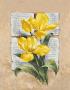 Tulip Poetry by Laura Martinelli Limited Edition Print