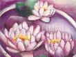Neptun's Triplets by Dagmar Zupan Limited Edition Print