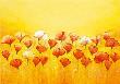 Wild Red Poppies by Emily Light Limited Edition Print