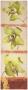 Chartreuse Orchid Trilogy by Fabrice De Villeneuve Limited Edition Print