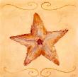 Starfish by Shari White Limited Edition Pricing Art Print